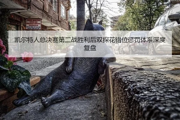 kai-er-te-ren-zong-jue-sai-di-er-zhan-sheng-li-hou-shuang-tan-hua-cuo-wei-cheng-fa-ti-xi-shen-du-fu-pan-2-388.jpg